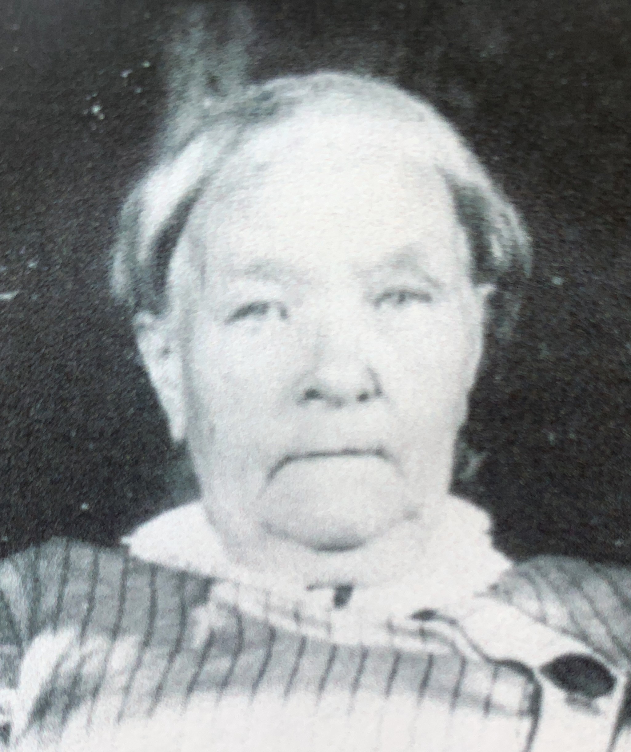 Jane Hanson (1839 - 1917) Profile